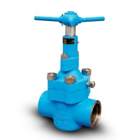 API 6A High pressure oilfield Gate Valve